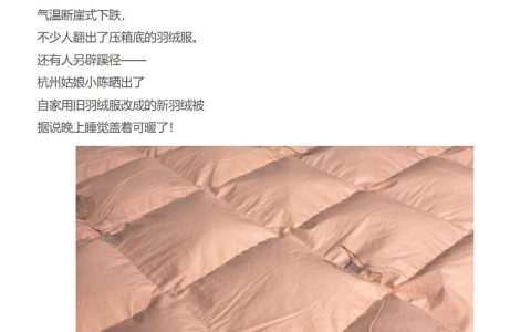 旧羽绒服回收利用衍生的赚钱机会