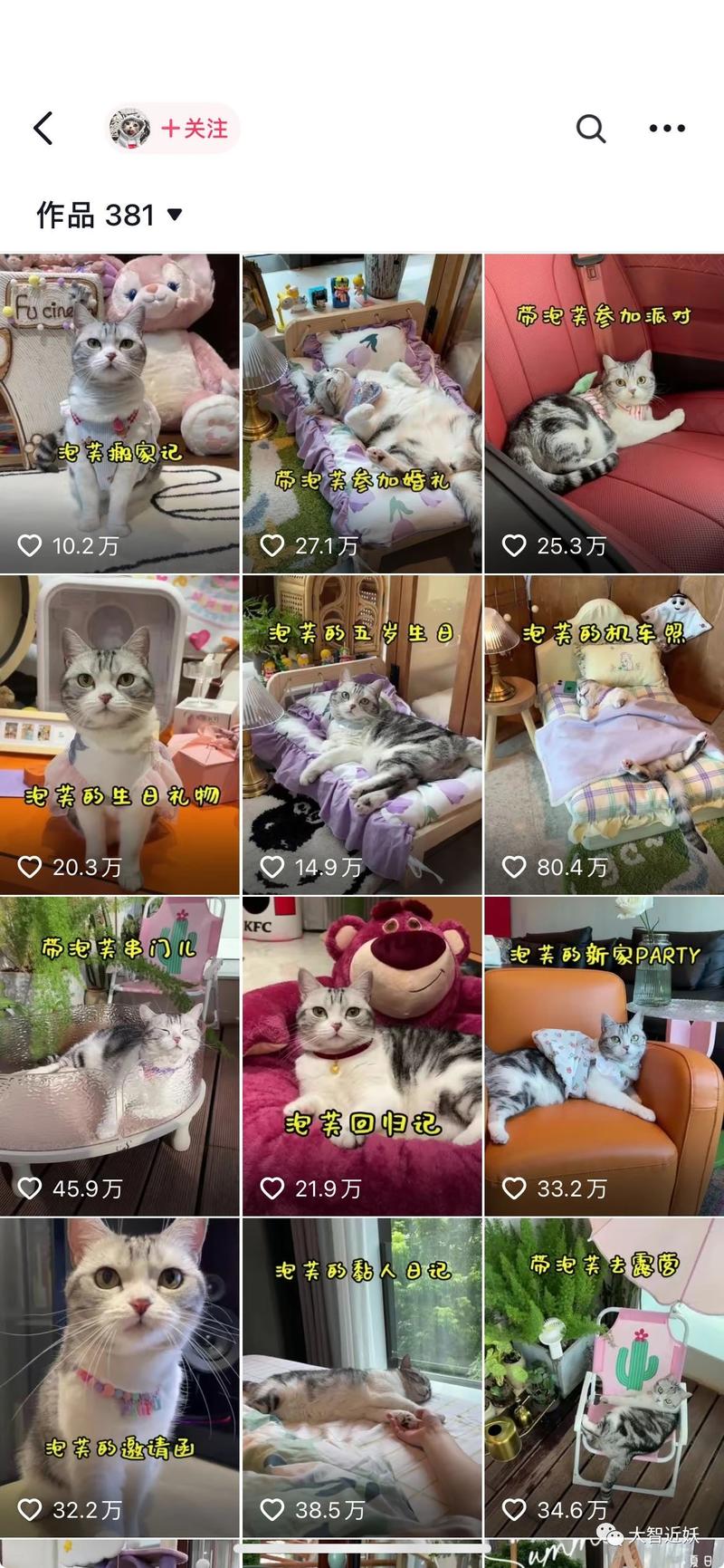 宠物领域怎么变现？