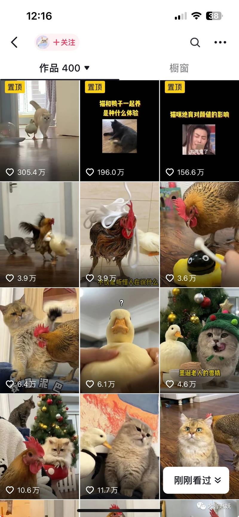 宠物领域怎么变现？