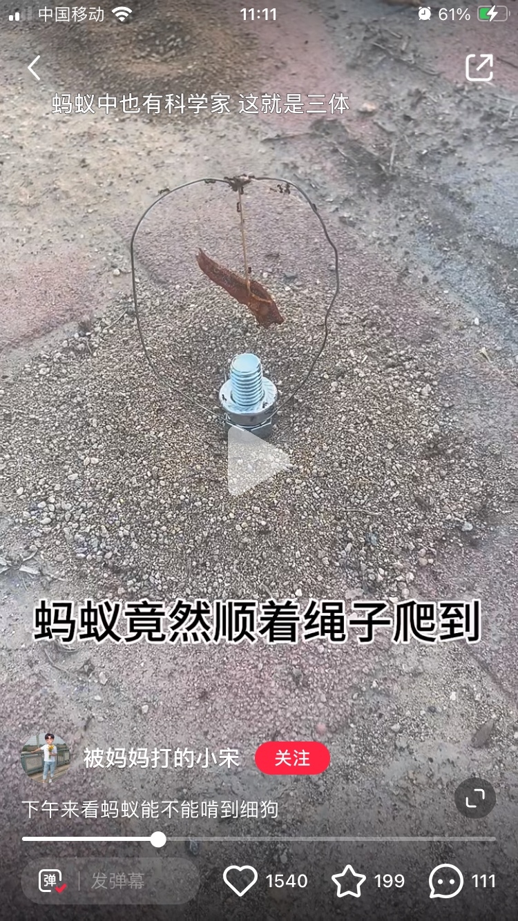 喂蚂蚁的视频热度竟然这么大