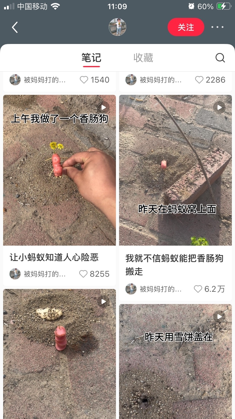 喂蚂蚁的视频热度竟然这么大