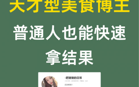 天才型美食博主普通人也能快速拿结果