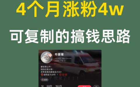 4个月涨粉4w可复制的搞钱思路