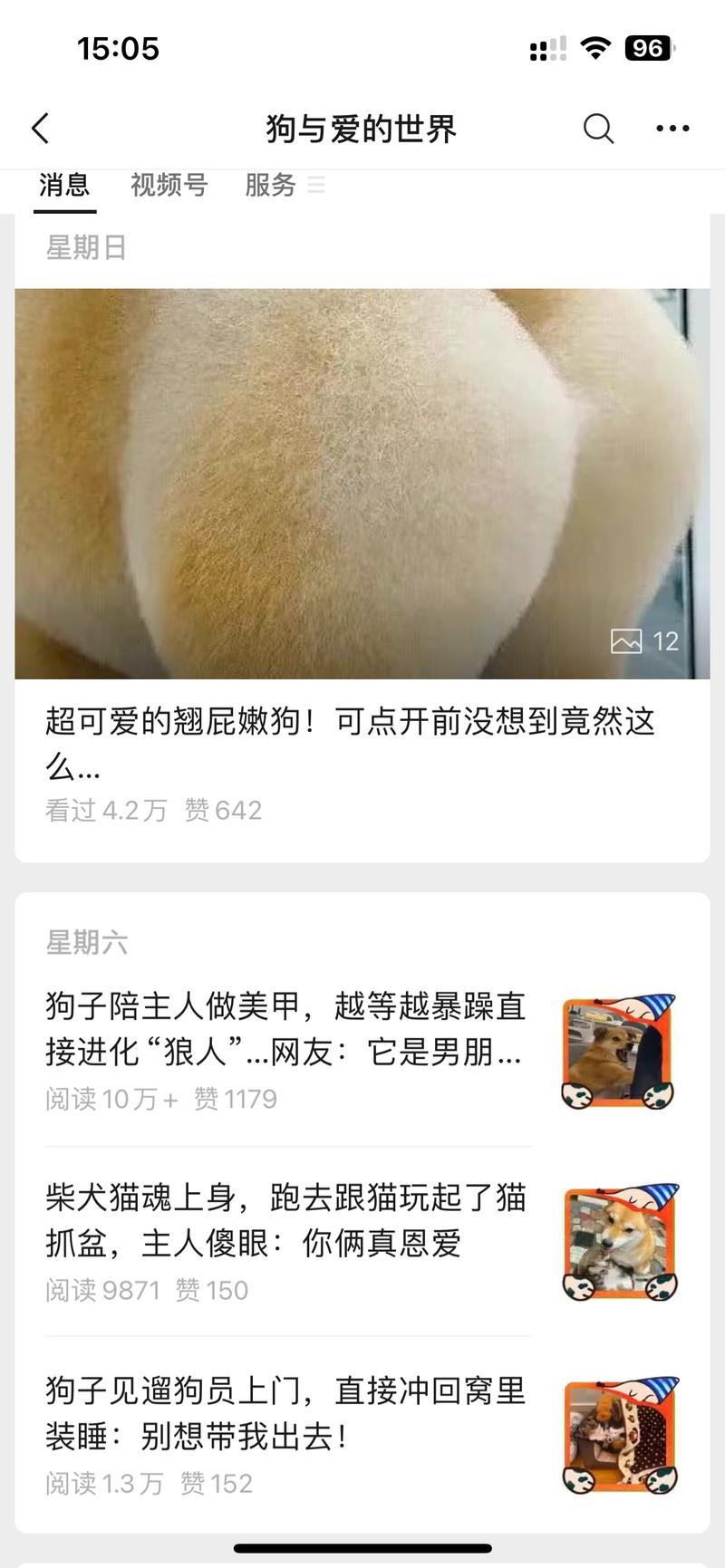 喜欢宠物的朋友可以参考这个账号，做内容。