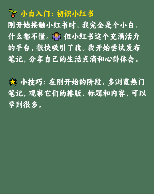 从小白到大神：我的小红书运营之路