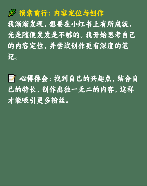 从小白到大神：我的小红书运营之路