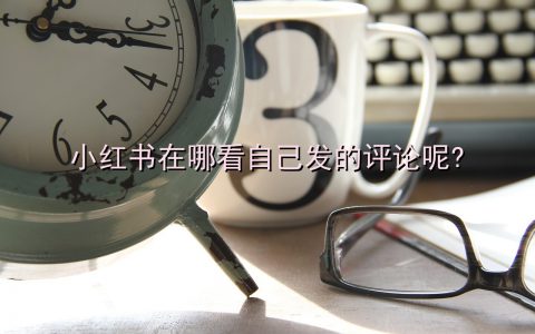 小红书在哪看自己发的评论呢?
