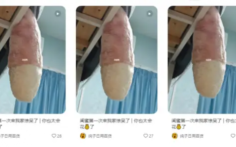 想在小红书批量开店，可以学学这家