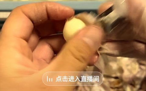 高毛利小众百货产品～不锈钢夹子