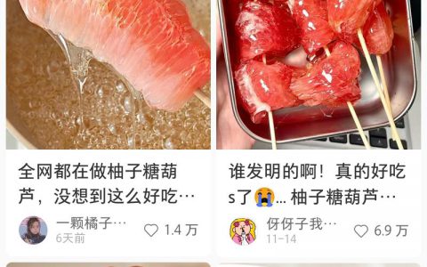 柚子糖葫芦是真火啊