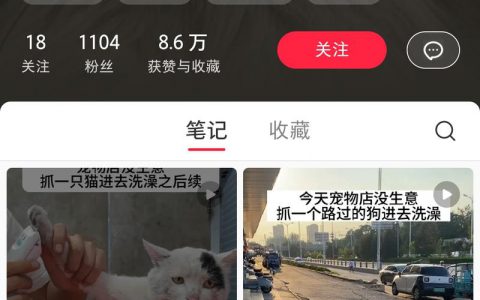 实体宠物店的引流新玩法