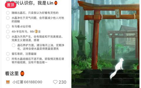 小红书丨80+笔记丨3000粉丨至少变现5位数