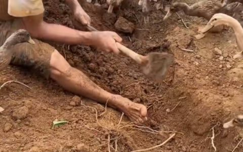 成人用品赛道引流变现