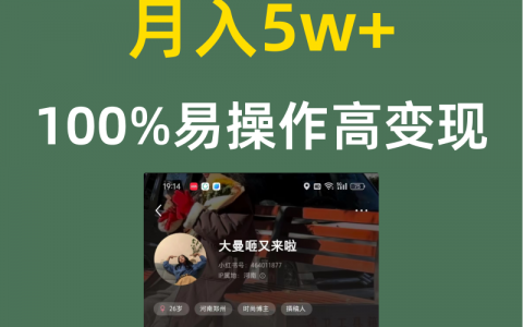 月入5w+100%易操作高变现