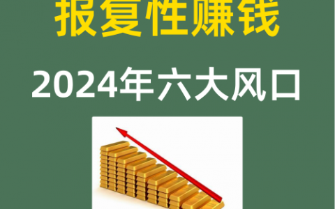 报复性赚钱2024年六大风口