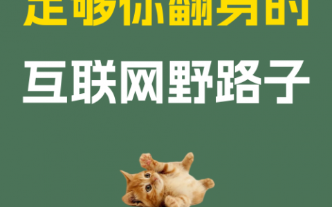 足够你翻身的互联网野路子