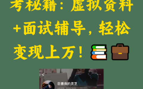 虚拟资料+面试辅导，轻松变现上万！