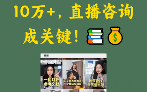 论文赛道变现超10万+，直播咨询成关键！