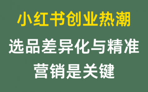 小红书创业热潮选品差异化与精准营销是关键