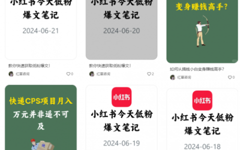 新人玩小红书的盈利点是什么？