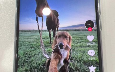 无限套抖音直播号