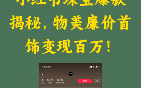 小红书珠宝爆款揭秘，物美廉价首饰变现百万！