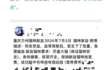 宠物献血主人是非常舍得为宠物花钱的