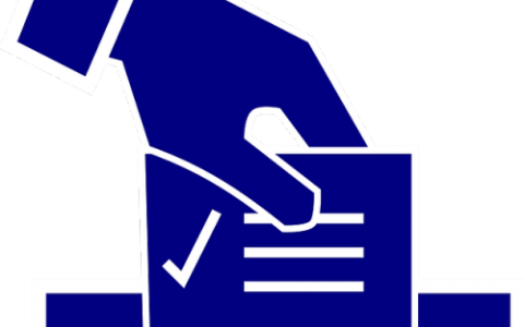 小红书投票怎样取消投票？