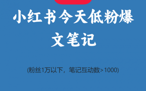 小红书今天低粉爆文笔记