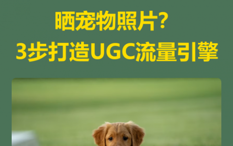 🐾【宠物店如何让顾客主动晒宠物照片？3步打造UGC流量引擎】✨